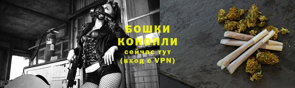 спайс Ладушкин