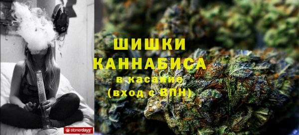 спайс Ладушкин