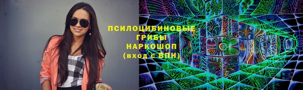спайс Ладушкин