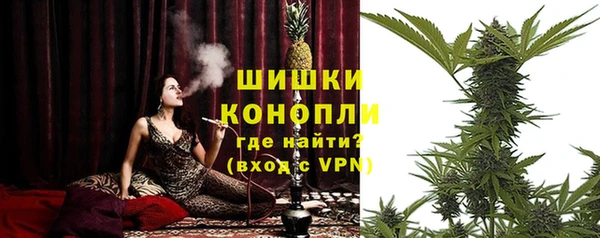 спайс Ладушкин