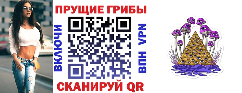 дарнет шоп Енисейск мега tor Псилоцибиновые грибы Cubensis