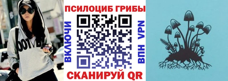 Псилоцибиновые грибы прущие грибы Енисейск